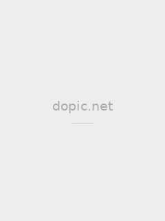 巷口裱画铺学徒小宋，补《腊梅图》残片时抄的半阕小词